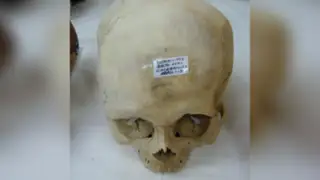 Recuperan cráneos prehispánicos que iban a ser enviados a Canadá