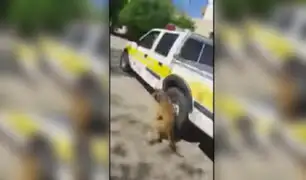 VIDEO: trabajador municipal arrastra a un perro con su camioneta