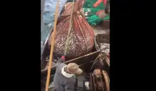 YouTube: Una enorme criatura marina sorprende a un grupo de pescadores rusos [VIDEO]