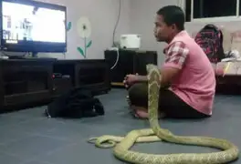 Por esta razón este hombre se casó con una serpiente en Tailandia