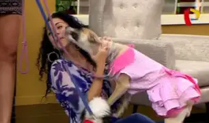 Combinado: Mascota de Georgette Cárdenas se pasó de cariñosa e hizo caer a Adriana