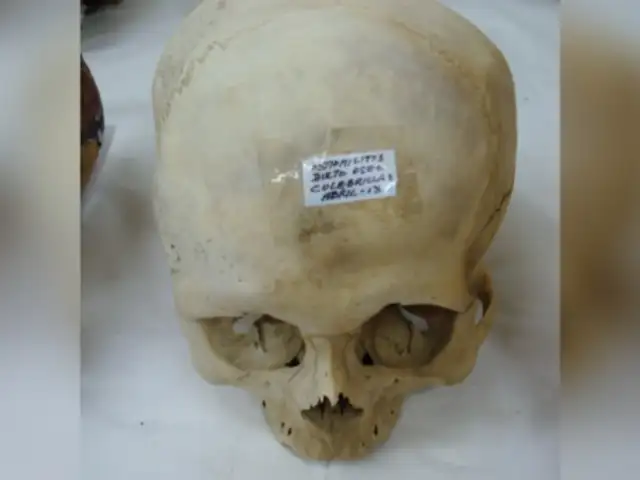 Recuperan cráneos prehispánicos que iban a ser enviados a Canadá