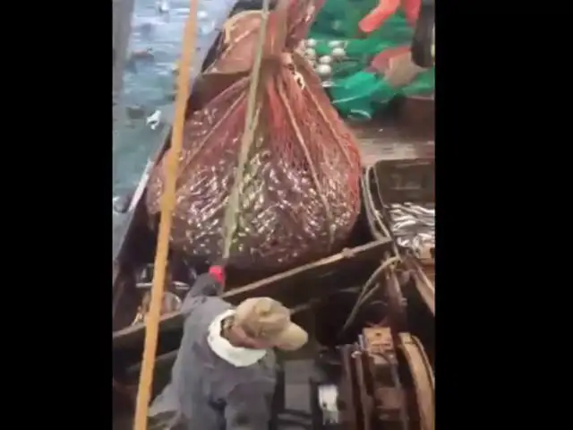 YouTube: Una enorme criatura marina sorprende a un grupo de pescadores rusos [VIDEO]