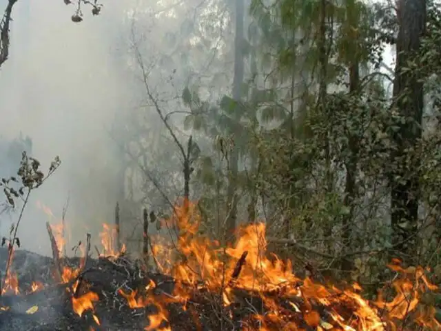 Fuerzas combinadas y ‘topos internacionales’ realizan trabajos ante incendios forestales