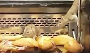 VIDEO: ratas se pasean por mostrador de exclusiva panadería