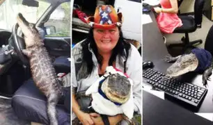 Mujer logra tenencia de cocodrilo en EEUU