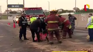 Panamericana Norte: tránsito fue interrumpido tras choque de camioneta con camión
