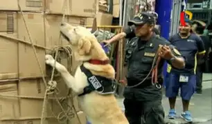 Presentan a canes de la policía adiestrados para detectar pirotécnicos