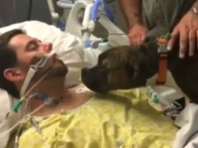 Facebook: hombre a punto de morir recibe desgarradora despedida de su mascota [VIDEO]