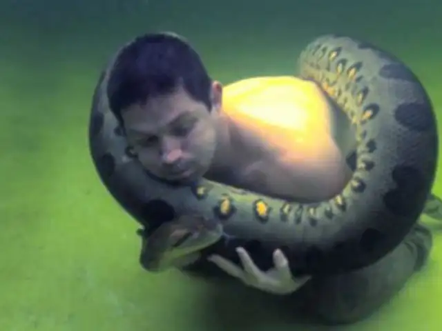 Hombre juega con anaconda gigante en California