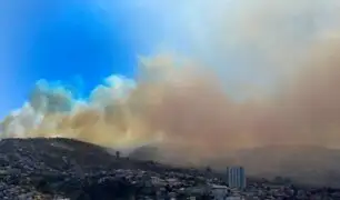 Chile: declaran zona de catástrofe en Valparaíso tras incendio forestal