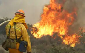 Incendio forestal consume más de 15 mil hectáreas en Chile