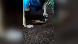 Dramático rescate de un cachorro que quedó atrapado dentro de una tubería