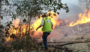 Lambayeque: Plantarán mil cedros en Cañaris tras los incendios forestales