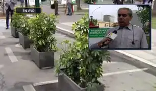 San Isidro: alcalde responde a polémica por colocación de macetas en estacionamientos