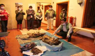 Hallan dos momias de la época prehispánica en Cusco