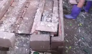 YouTube: levantó unos ladrillos del suelo y lo que descubrió fue realmente espeluznante