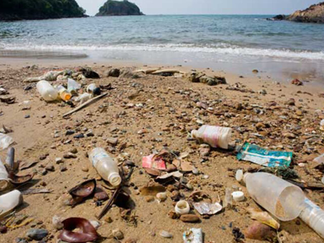 Veraneantes responden tras acumulación de basura en playas por Año Nuevo