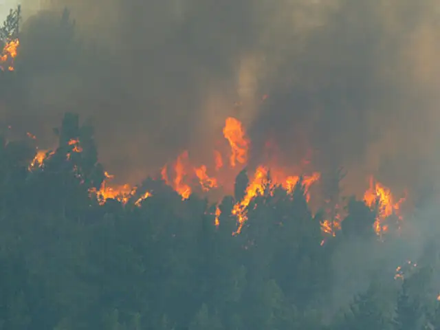 Chile: incendios forestales afectan más de 360 mil hectáreas