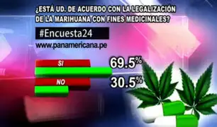 Encuesta 24: 69.5% a favor de la legalización de la marihuana con fines medicinales