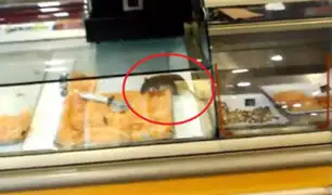 VIDEO: rata se pasea por vitrina de alimentos de exclusiva cafetería