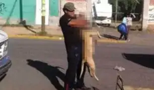 Impactante suceso: hombre mata a su perro ahorcándolo con sus propias manos