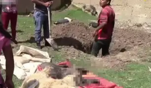 Huancayo: ladrones matan a perros para robar viviendas