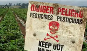 Pesticidas matan a 200 000 al año: La ONU remece al sector agrícola con este devastador informe