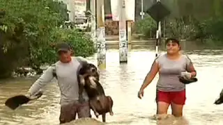 Desborde del río Mala aisló a centro poblado Puente Viejo
