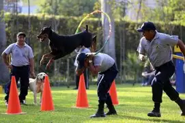 Parque de las Leyendas: Brigada Canina de la MML realizará sorprendentes demostraciones