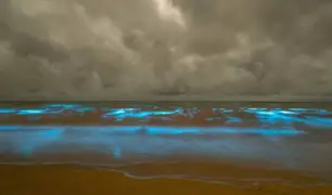 Australia: playa causa asombro por su resplandor