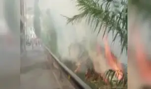 La Molina: incendio en universidad Agraria destruye casas