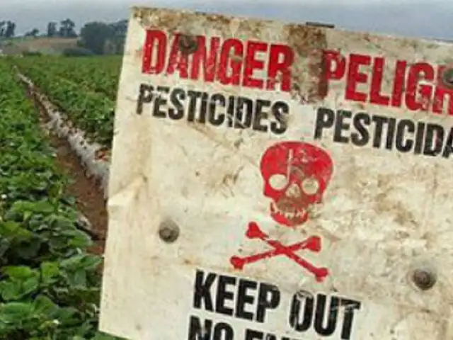 Pesticidas matan a 200 000 al año: La ONU remece al sector agrícola con este devastador informe