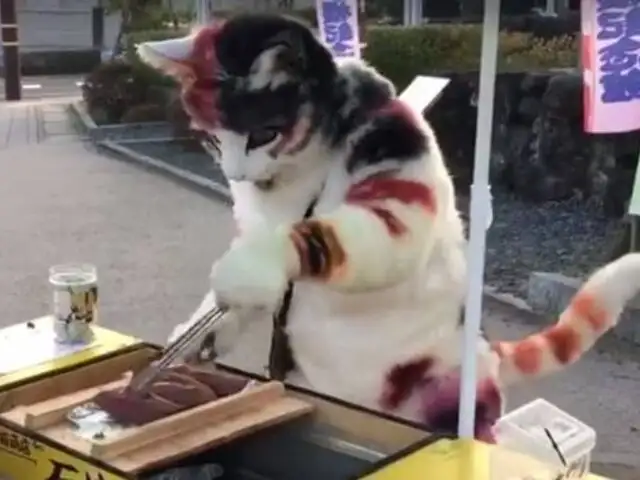 Un ‘gato’ vendiendo comida en Japón causa furor en las redes sociales