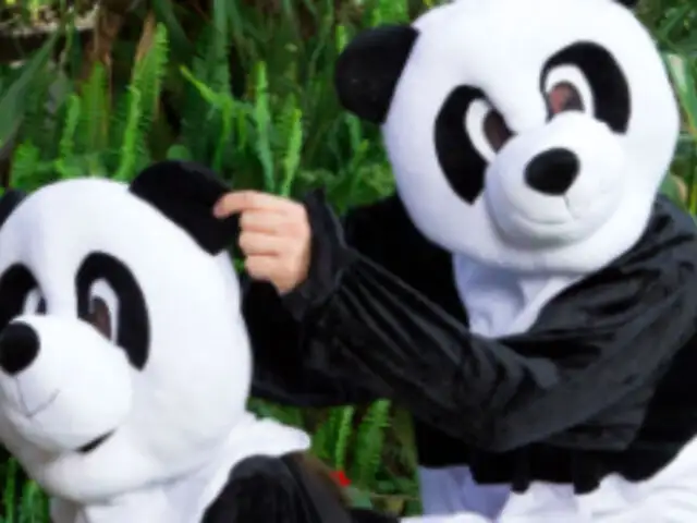 ‘Panda Style’: Una página XXX quiere salvar a los pandas con la campaña más disparatada