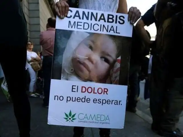 Argentina aprueba por unanimidad uso de cannabis con fines medicinales