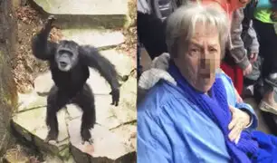 Chimpancé lanzó excremento a la cara de una abuelita