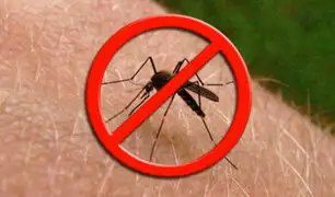 Combinado te da la mejor orientación para la prevención del dengue