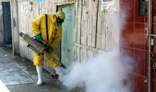 Yurimaguas: labores de fumigación de viviendas durarán 15 días
