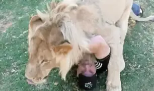 EE.UU.: un efusivo abrazo de león recibió turista