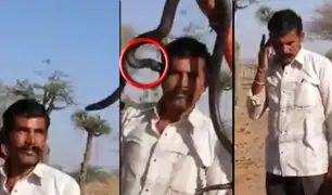 Inadvertida mordida de cobra mata a  hombre en la India