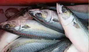 Conozca las diferentes formas de preparar pescado para Semana Santa