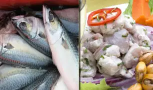 Sepa más sobre el valor nutricional del pescado en esta Semana Santa