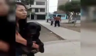 SJM: preocupación de vecinos tras ataque de pitbull a otro perro