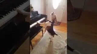 Este perro ‘cantante’ se está convirtiendo en toda una celebridad en Internet