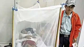 Ministerio de Salud confirma 4730 casos de dengue en el Perú