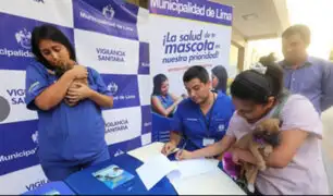 Municipio de Lima entrega en adopción a mascotas rescatadas