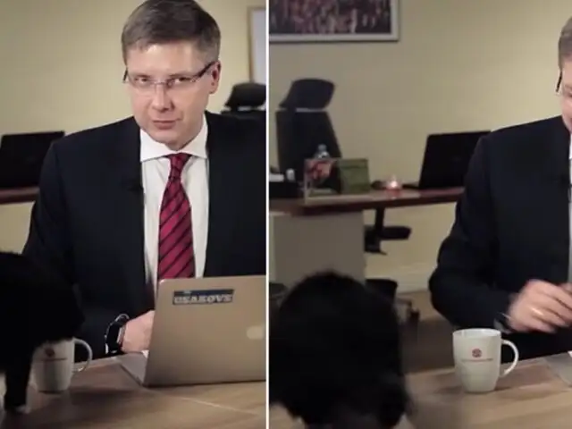 El momento en el que un alcalde de Letonia es interrumpido por su gato