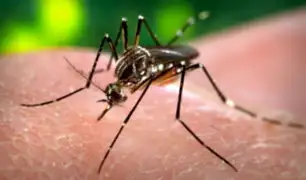 Dengue en Perú: lanzan alerta epidemiológica por incremento de casos con elevada letalidad