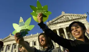Comenzaron a registrarse consumidores de marihuana legal en Uruguay